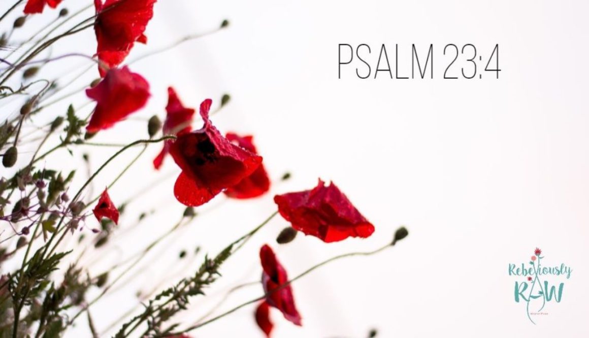 psalm234