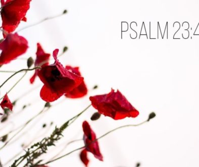 psalm234