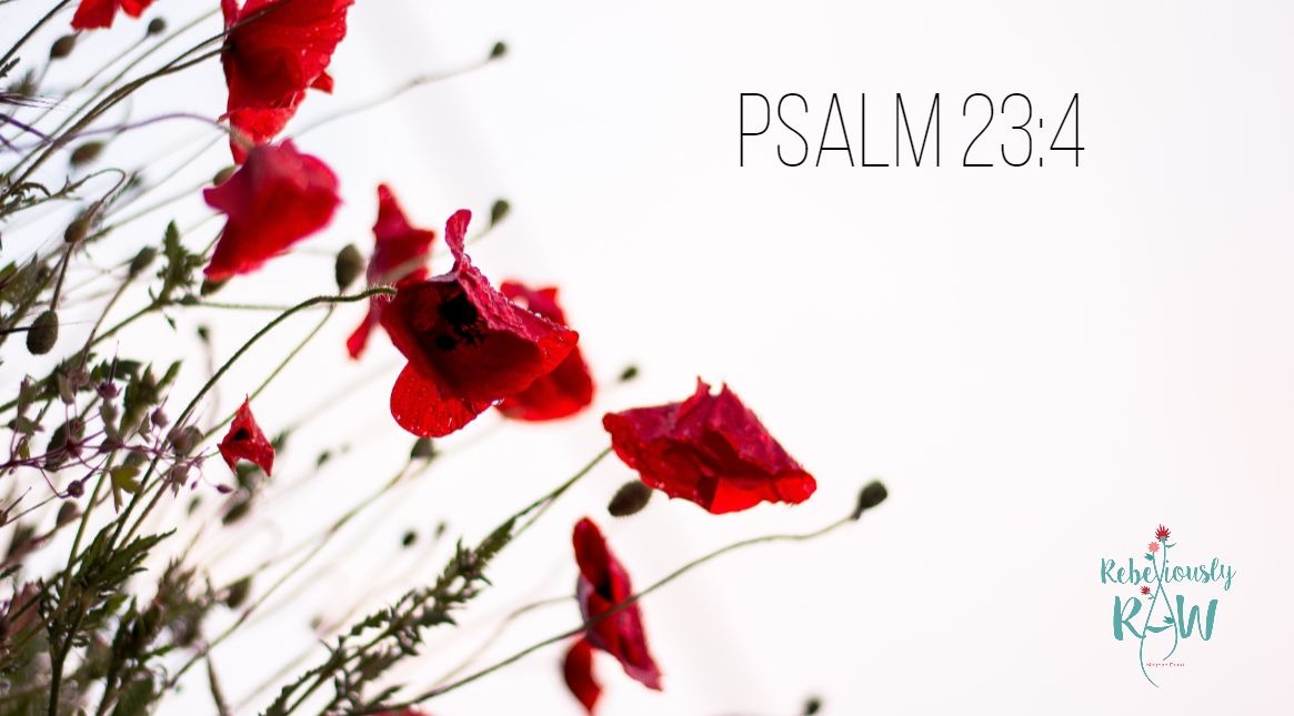 psalm234